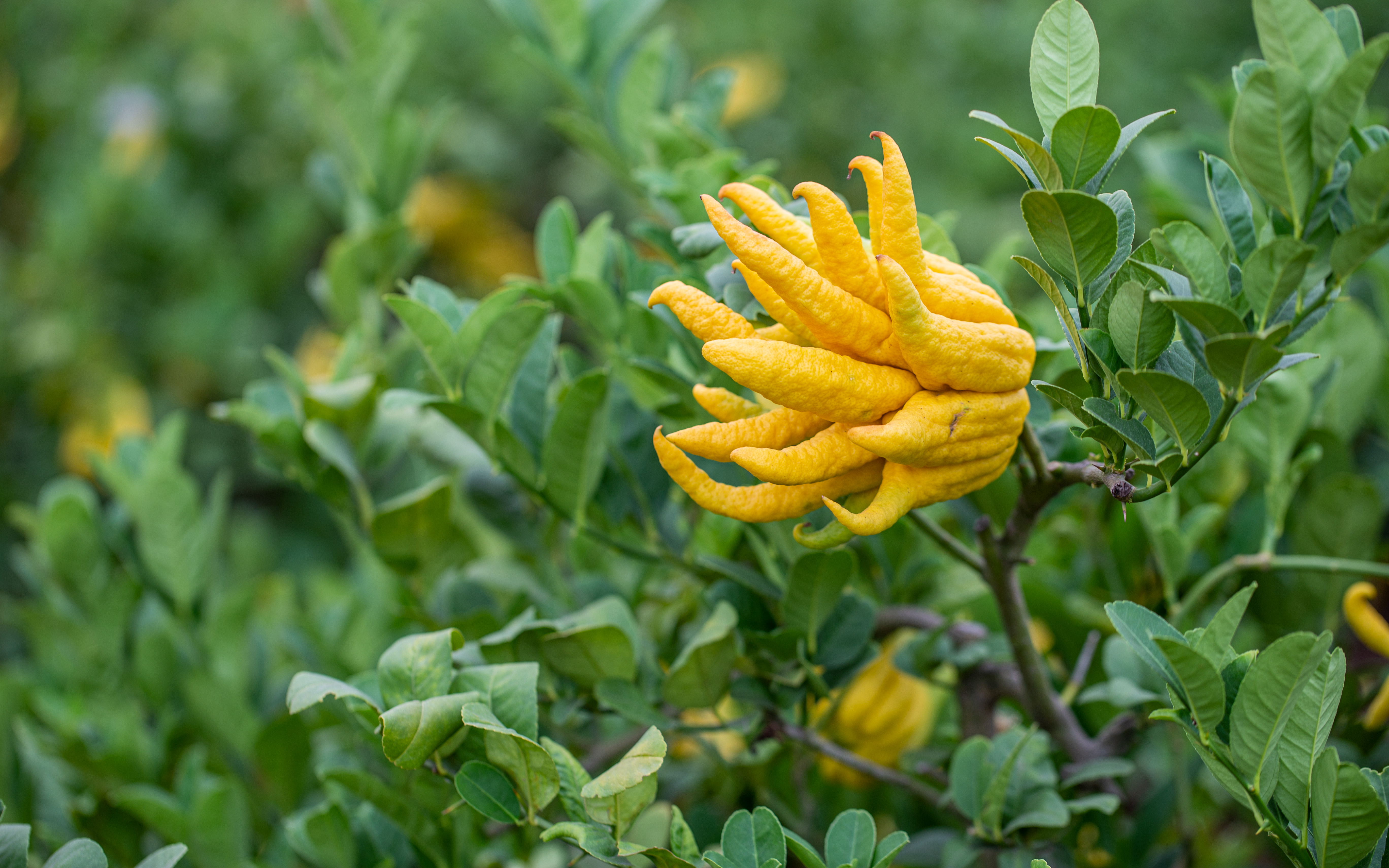 1750230669166382.jpg 1750230669166382.jpg